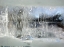 Picture of FAIRY WINTER