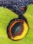 Picture of EYESPOT