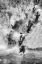 Picture of LETS DIVE