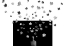 Picture of QCOCOONQ