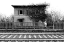 Picture of THE STATION OF CASTELFERRO