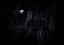 Picture of ALONE