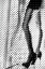 Picture of FENCY