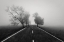 Picture of ROAD TO INFINITY