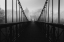 Picture of ALONE