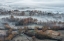 Picture of MISTY FIELDS
