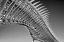 Picture of BACKBONE