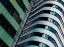 Picture of CITY LINES