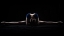 Picture of DANCER