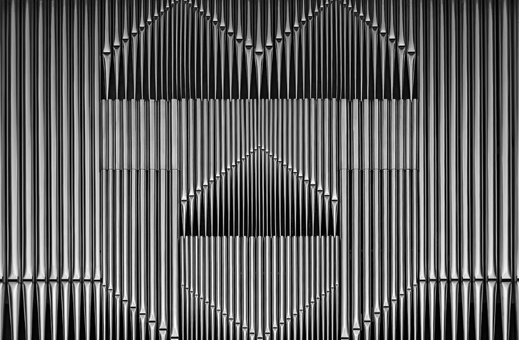 Picture of ORGAN - ISM