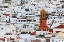 Picture of COMPETA II