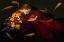 Picture of OPHELIA