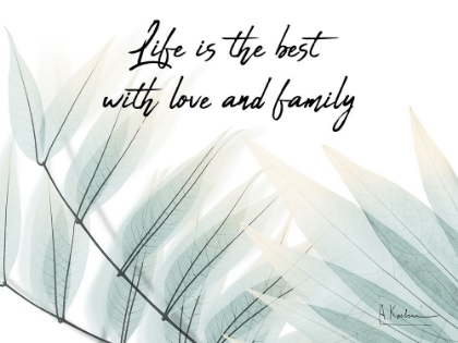 Picture of LIFE IS THE BEST