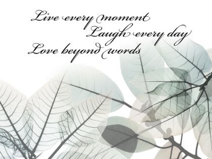 Picture of LIVE EVERY MOMENT