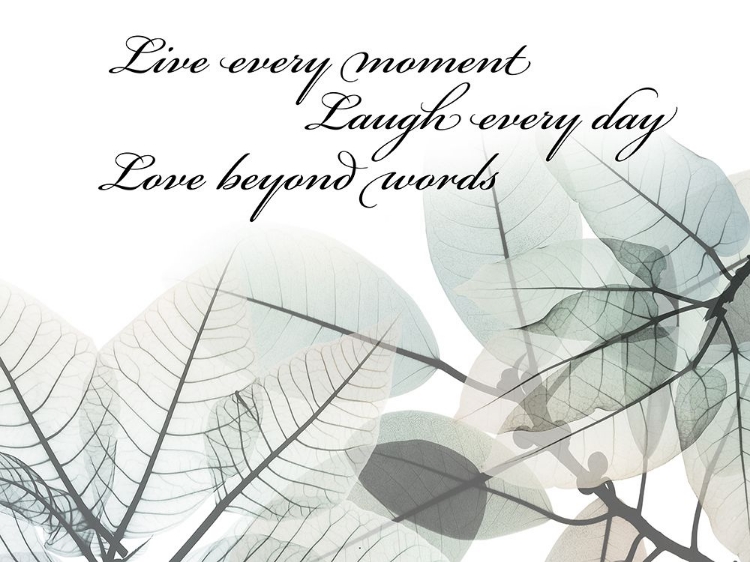 Picture of LIVE EVERY MOMENT
