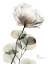 Picture of CREAMY FLORAL DYNASTY 1