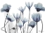 Picture of FLORAL DESIRES 1