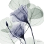 Picture of FUTURE BLOOMS 1