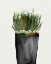 Picture of BLACK POTS 2