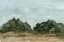 Picture of LANDSCAPE