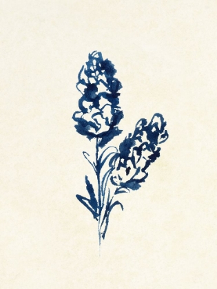 Picture of MIDNIGHT BOTANICAL 1