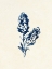 Picture of MIDNIGHT BOTANICAL 1