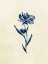 Picture of MIDNIGHT BOTANICAL 4