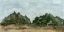 Picture of LANDSCAPE