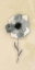 Picture of FUN FLORAL 2
