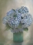 Picture of BEAUTY 2