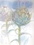 Picture of SOFT FLOWERS 2