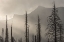 Picture of FALLING SKY