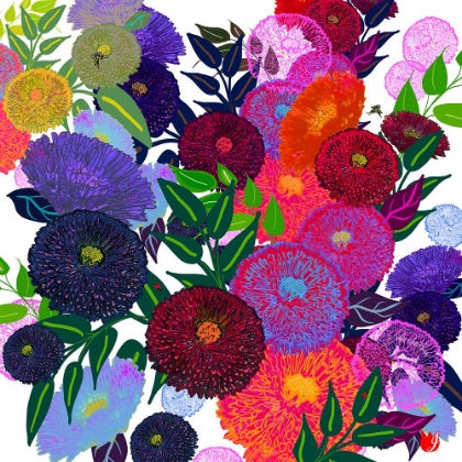 Picture of GARDEN CRUSH SUMMER DREAMING