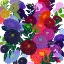 Picture of GARDEN CRUSH SUMMER DREAMING