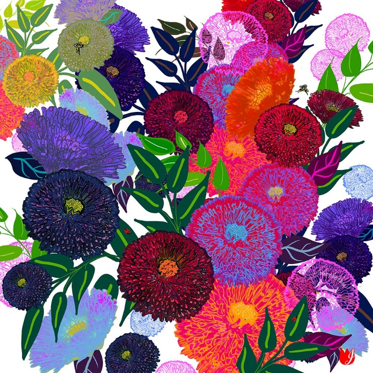 Picture of GARDEN CRUSH SUMMER DREAMING