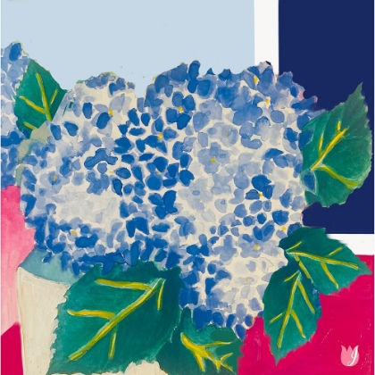 Picture of HYDRANGEAS FROM THE GARDEN