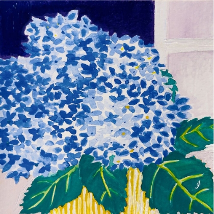 Picture of HYDRANGEAS IN THE VASE YOU BOUGHT TODAY