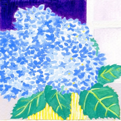 Picture of HYDRANGEAS IN THE VASE YOU BOUGHT TODAY V2