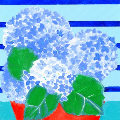 Picture of HYDRANGEAS ON HOLIDAY V2