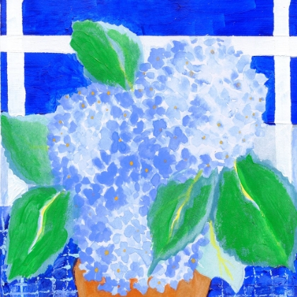 Picture of HYDRANGEAS PICNIC V2