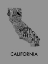 Picture of CALIFORNIA CITIES