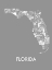 Picture of FLORIDA CITIES V2
