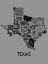 Picture of TEXAS CITIES