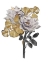 Picture of GOLDEN MAGNOLIA