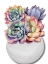 Picture of SUCCULENT VASE