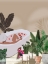 Picture of HOME PARADISE 2