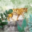 Picture of LEOPARD BOHO 1
