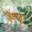 Picture of LEOPARD BOHO 2