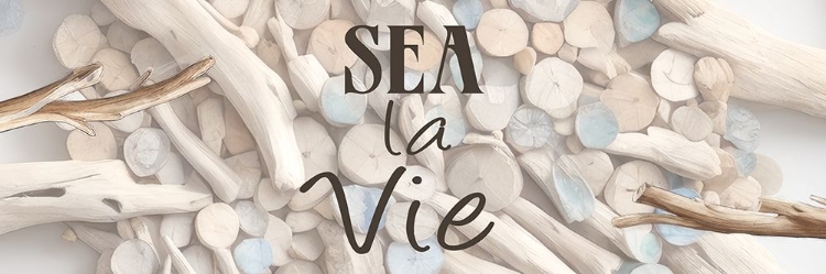 Picture of SEA LA VIE V2