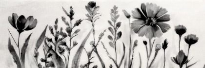 Picture of BLACK WILDFLOWER PANEL